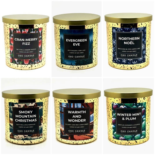 Holiday Favorites 8.5 oz Candle 6-Pack