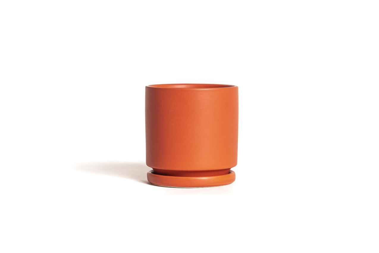 8.5" Ceramic Cylinder Planter Many Colors