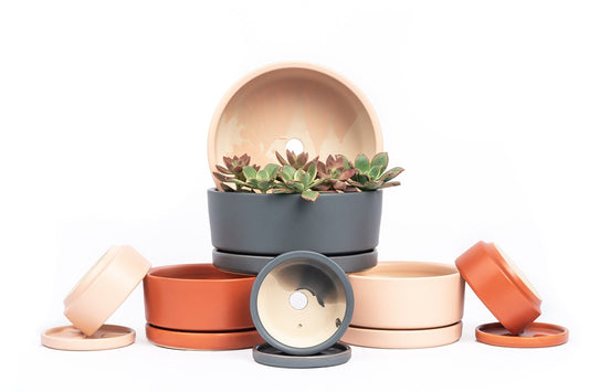 8.5" Ceramic Bowl Planter Many Colors