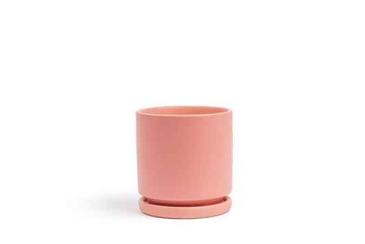 8.5" Ceramic Cylinder Planter Many Colors