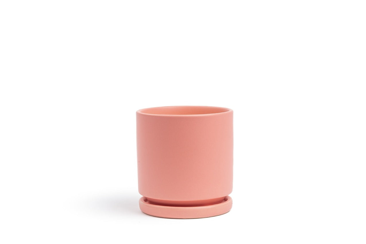 10.5" Ceramic Cylinder Planter Pink and Blue