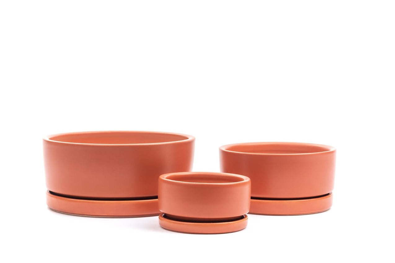 8.5" Ceramic Bowl Planter Many Colors