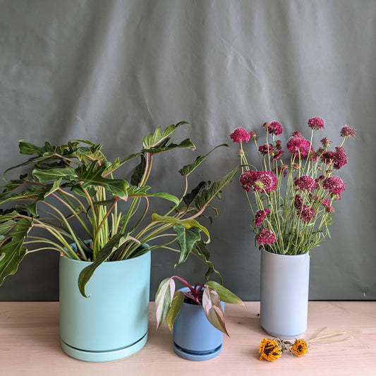 4.5" Ceramic Cylinder Planter Many Colors