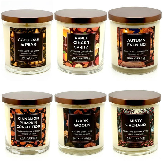 Autumn Favorites 8.5 oz Candle 6-Pack