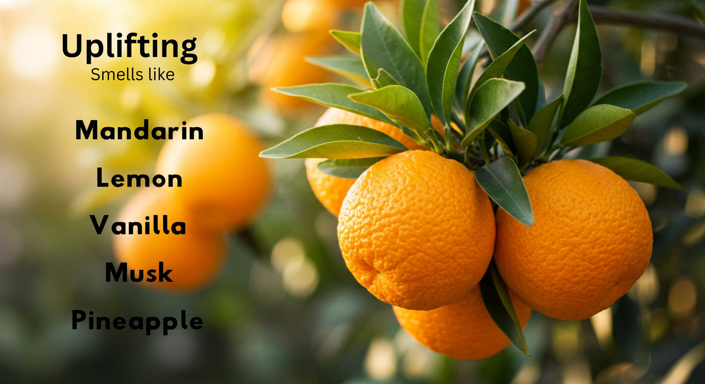 Sunshine Bliss - Lemon-Pineapple-Musk Reed Diffuser 4 oz