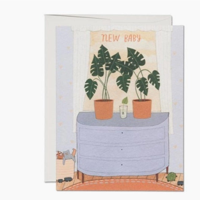 New Baby Plant card - Wild Flower Shop